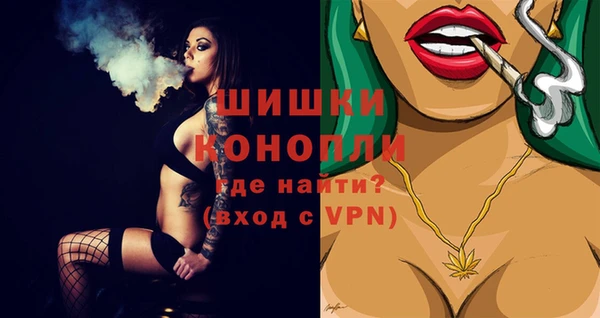 круглые Краснослободск